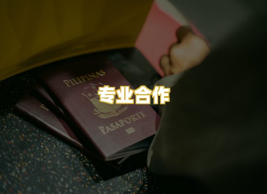 专业合作